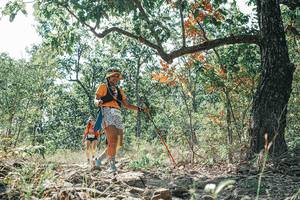 BIB: 
                            <button type="button" onclick="openModal(26109504)" class="btn btn-primary btn-sm float-right btn-popup" data-toggle="modal" data-target=".modal-high-quality">
                        <i class="fas fa-shopping-cart"></i> Add to Cart
                    </button>
                                            <button type="button" onclick="isThisMe(26109504, true)" class="btn btn-success btn-sm float-right btn-popup btn-isme hidden" data-toggle="tooltip" data-placement="bottom" title="นี่คือรูปของคุณใช่ไหม คลิกที่นี่เพื่อเอาเข้าอัลบั้ม">
                        <i class="fas fa-plus"></i> Add to album
                    </button>
                    <button type="button" onclick="isThisMe(26109504, false)" class="btn btn-warning btn-sm float-right btn-popup btn-isnotme hidden">
                        <i class="fas fa-ban"></i> Remove from album
                    </button>